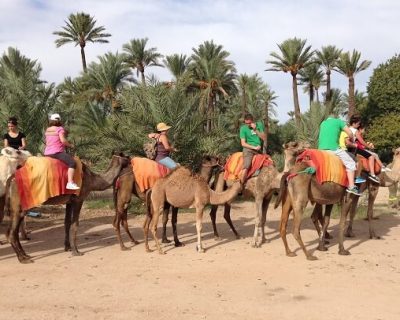 balade-dromadaire-marrakech-1